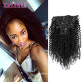 Brazilian Kinky Curly Virgin Hair Clip in Extensions